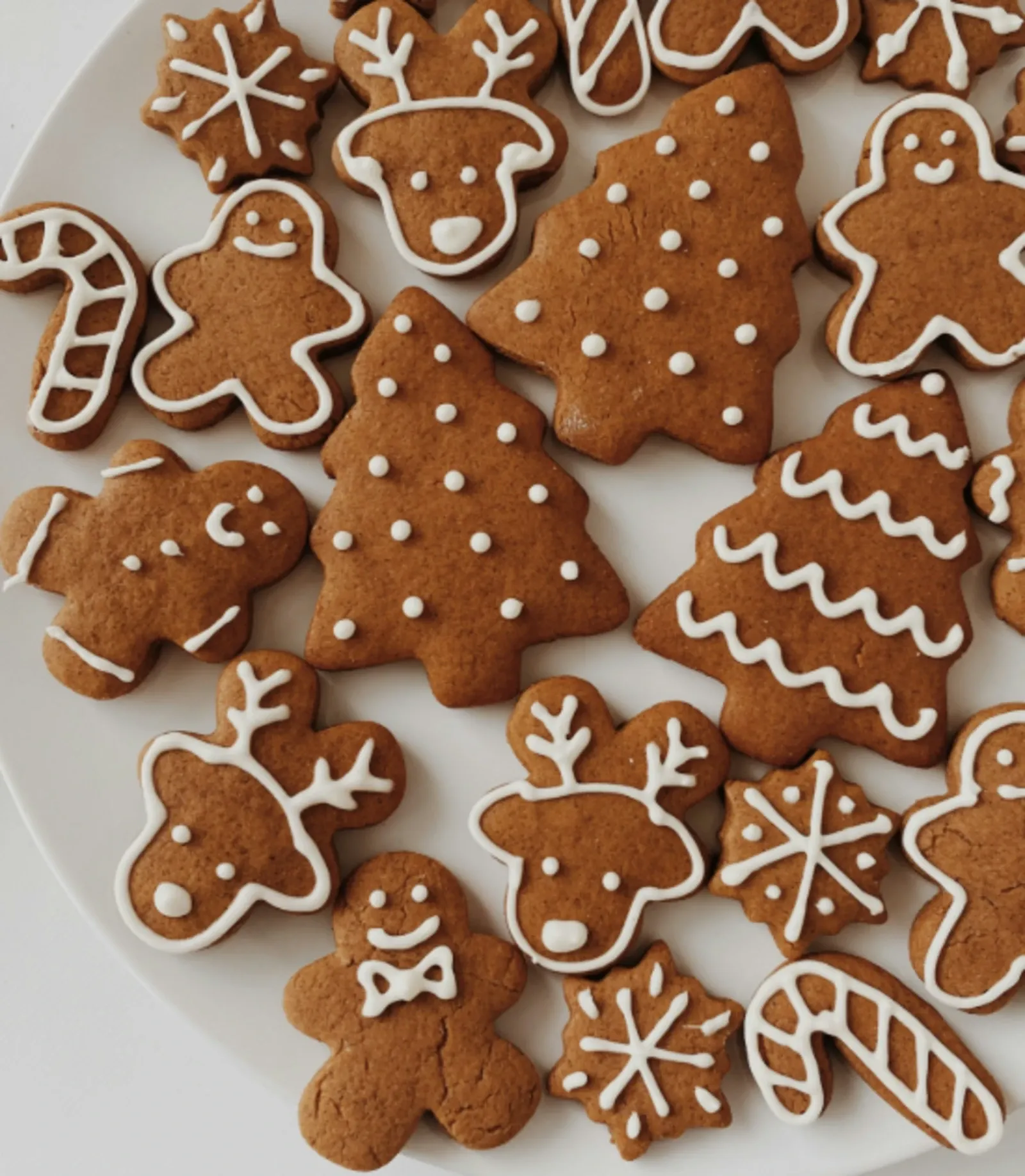 Gingerbread Decorating Workshop